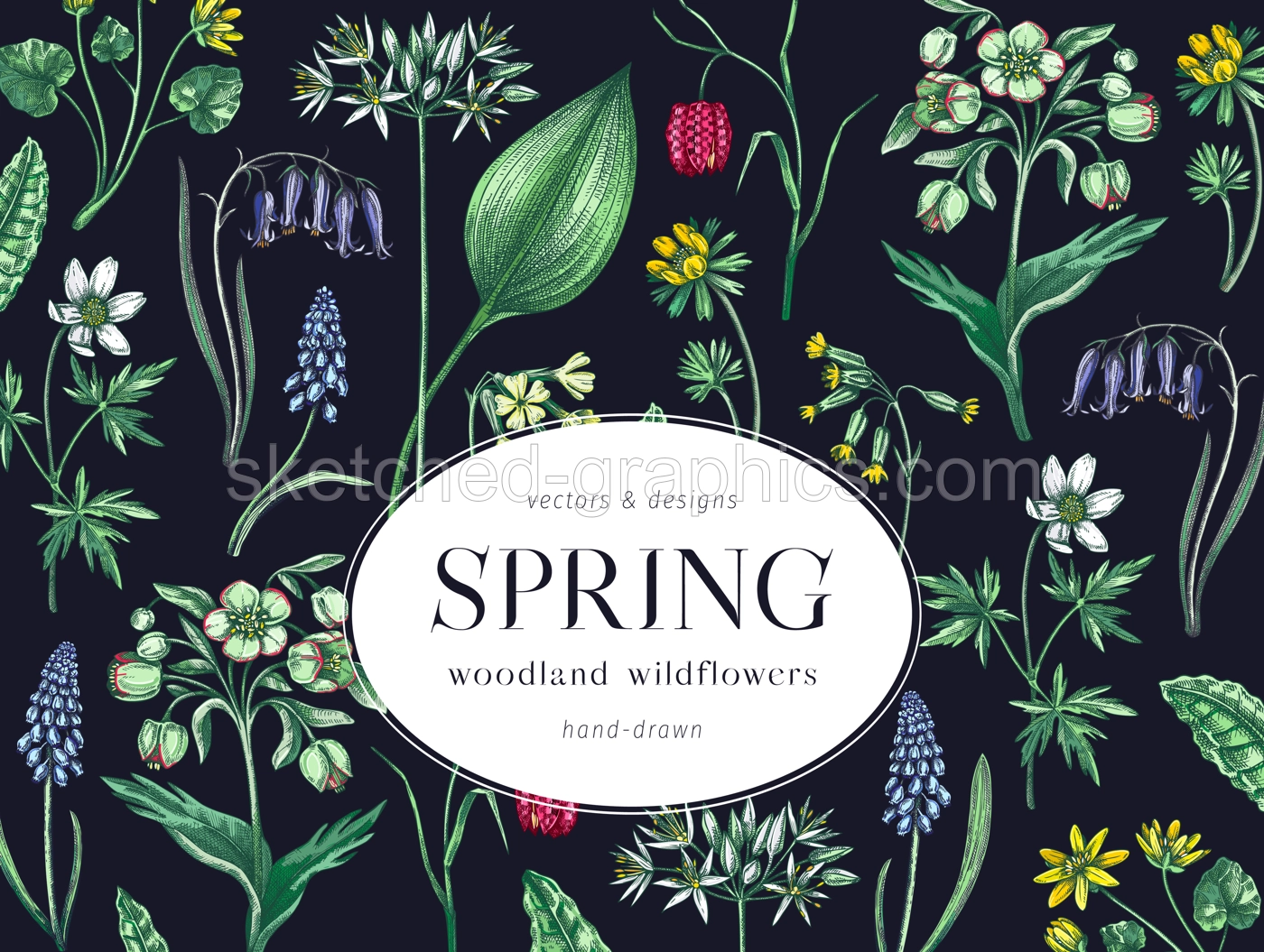 Colorful spring flowers background. Woodland flower, greenery, forest plants sketches. Botanical design in color. Wildflowers frame. Hand-drawn vector illustrations, NOT AI generated Illustration